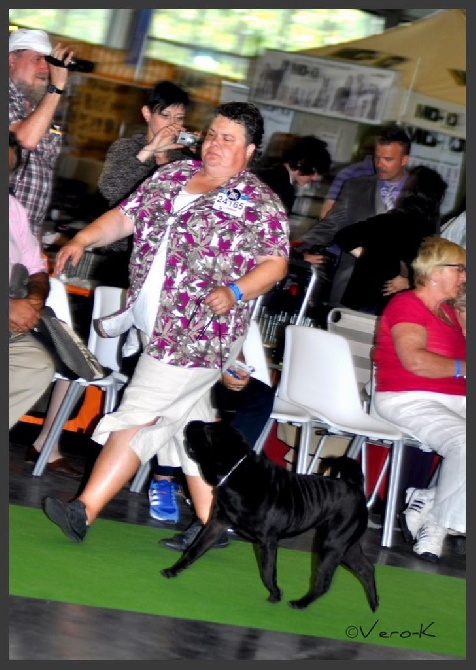 du bois de l'Altaïr - World Dog Show Paris 2011